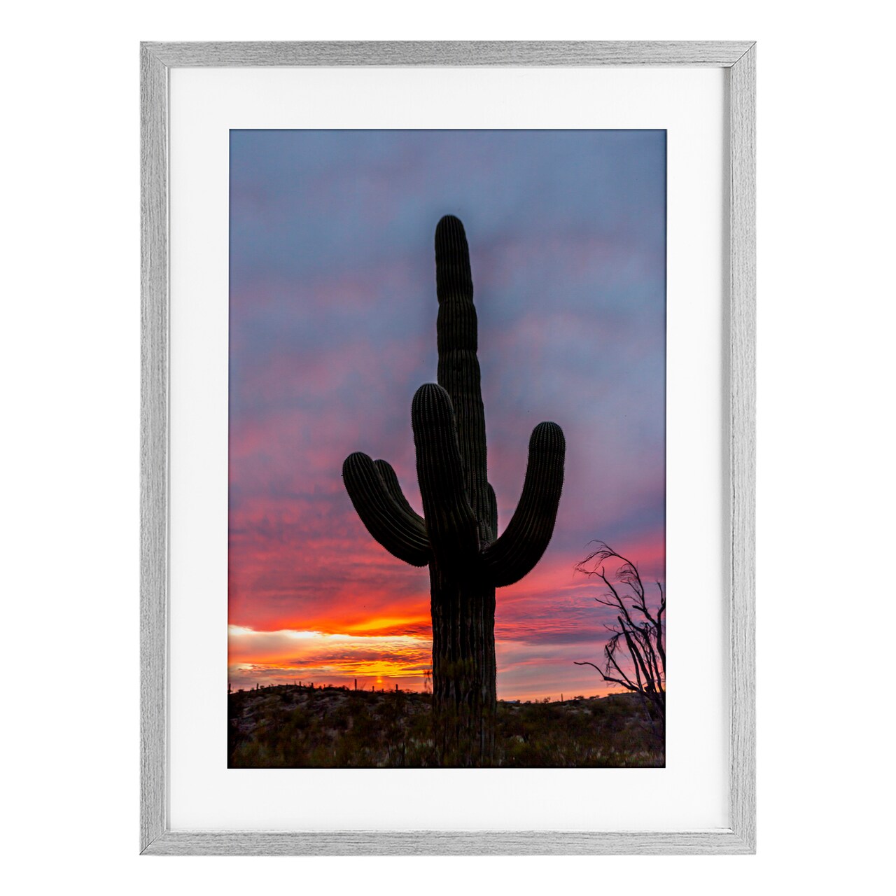 Stupell Industries Arizona Cactus at Sunset Framed Print Under Glass, design by Jeff Poe Photography